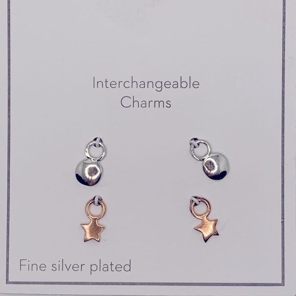 Gold and Silver Interchangeable Earrings Set with Charms - Picture 7 of 8